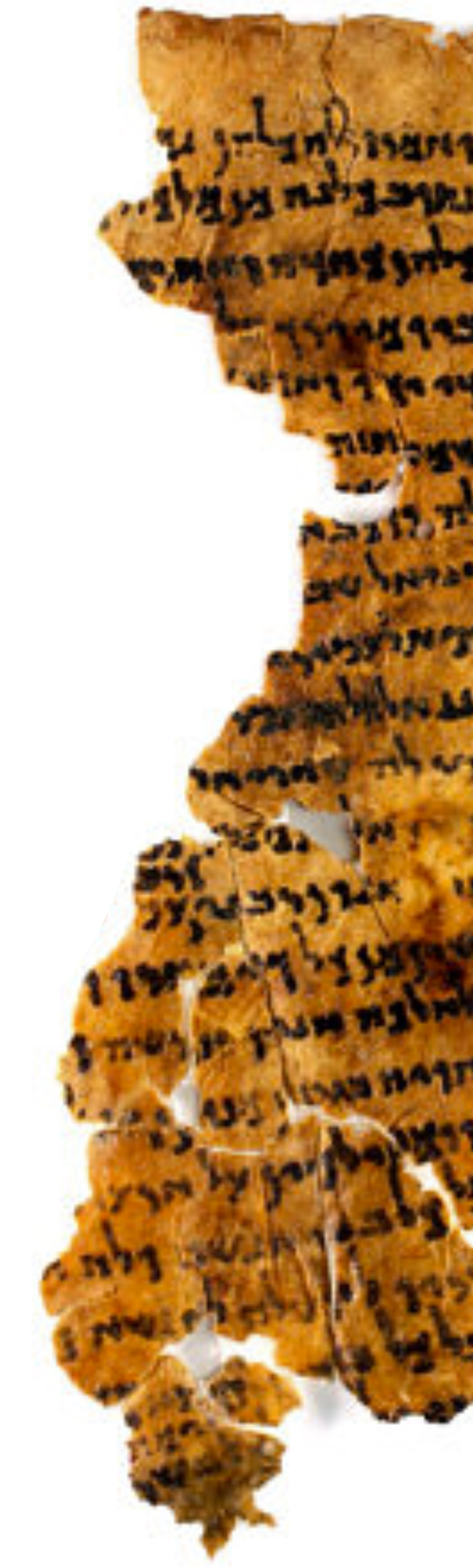 Ancient Manuscript